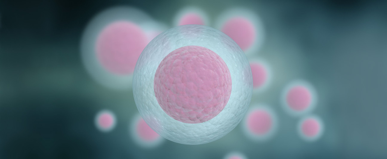 Illustration of stem cells