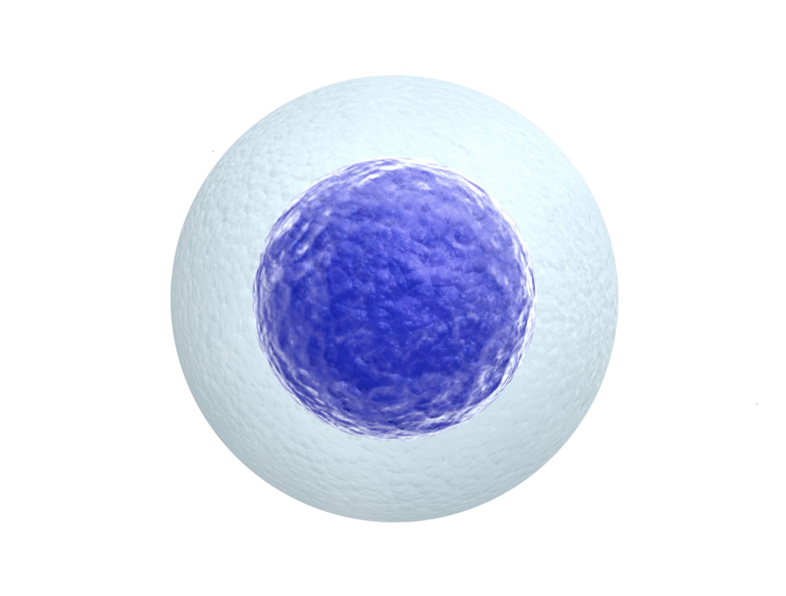 Close-up illustration of a single cell