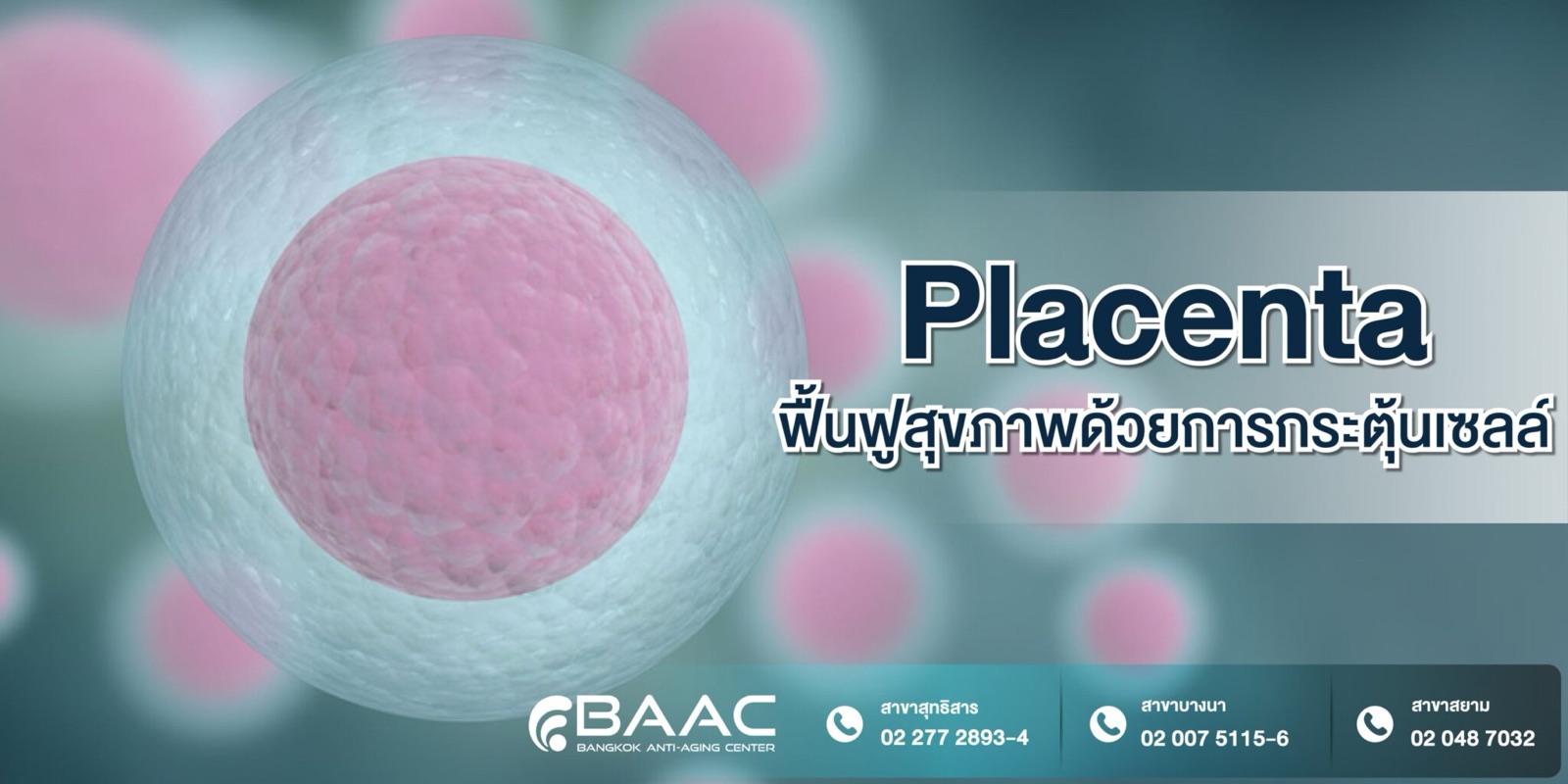 BAAC placenta therapy banner